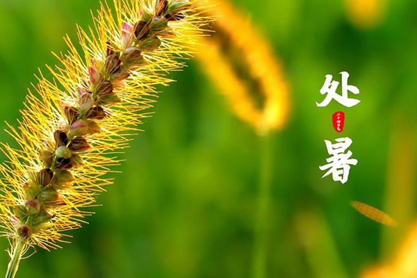 ���İ��b | �]�e�������s����һ��(ch��ng)������S